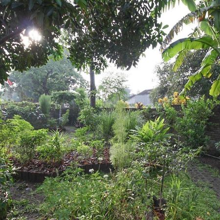 Bhumi Hostel Yogyakarta Bagian luar foto