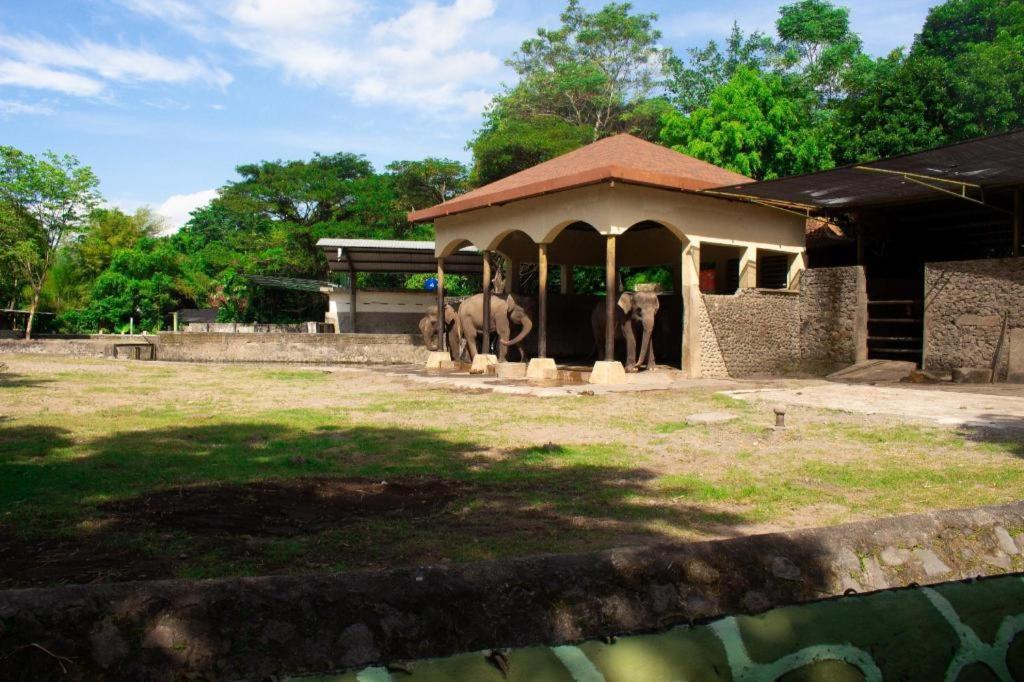 Bhumi Hostel Yogyakarta Bagian luar foto