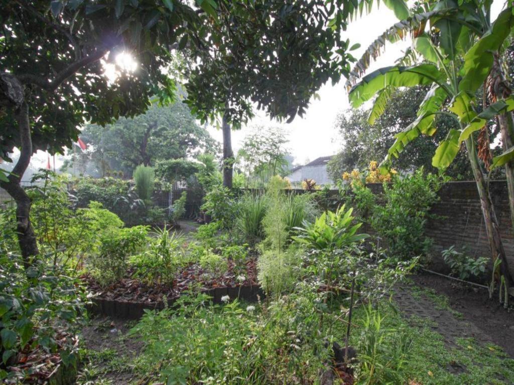 Bhumi Hostel Yogyakarta Bagian luar foto